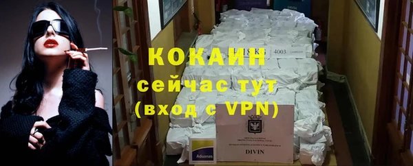 шишки Гусь-Хрустальный
