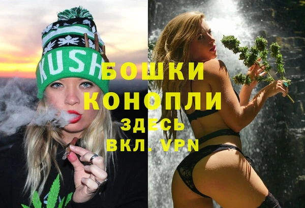 дмт Дмитровск