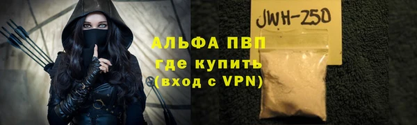 шишки Гусь-Хрустальный