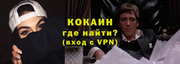 шишки Гусь-Хрустальный
