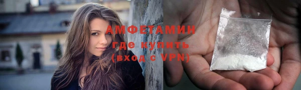 шишки Гусь-Хрустальный