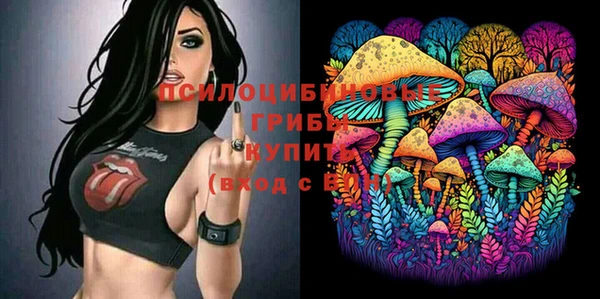 первитин Дмитриев