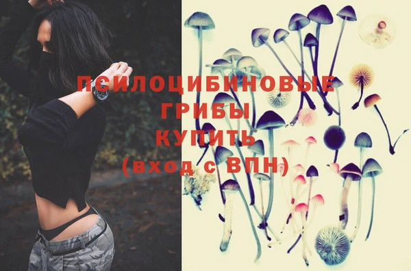шишки Гусь-Хрустальный