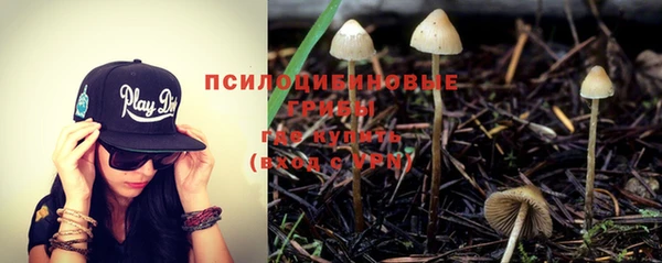 таблы Гусев