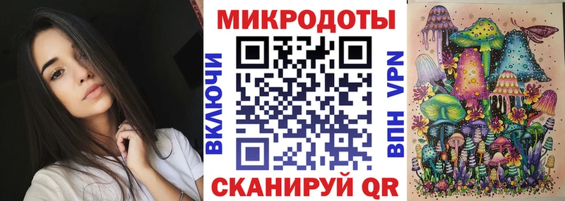 закладки  Норильск  Псилоцибиновые грибы MAGIC MUSHROOMS 